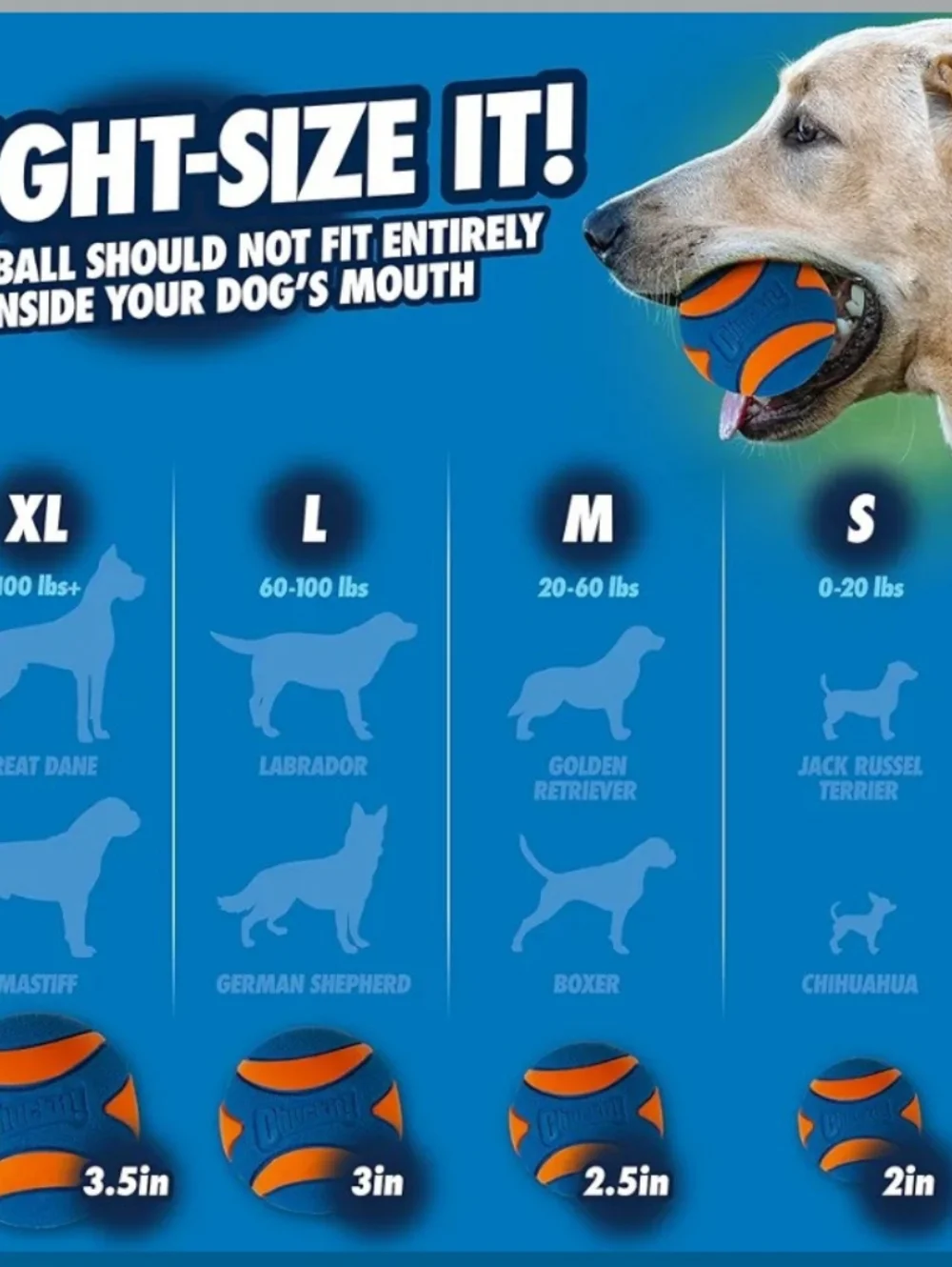 Chuckit! Ultra Squeaker 🐶 Dog Ball - Blue & Orange Size M - Picture 2 of 2